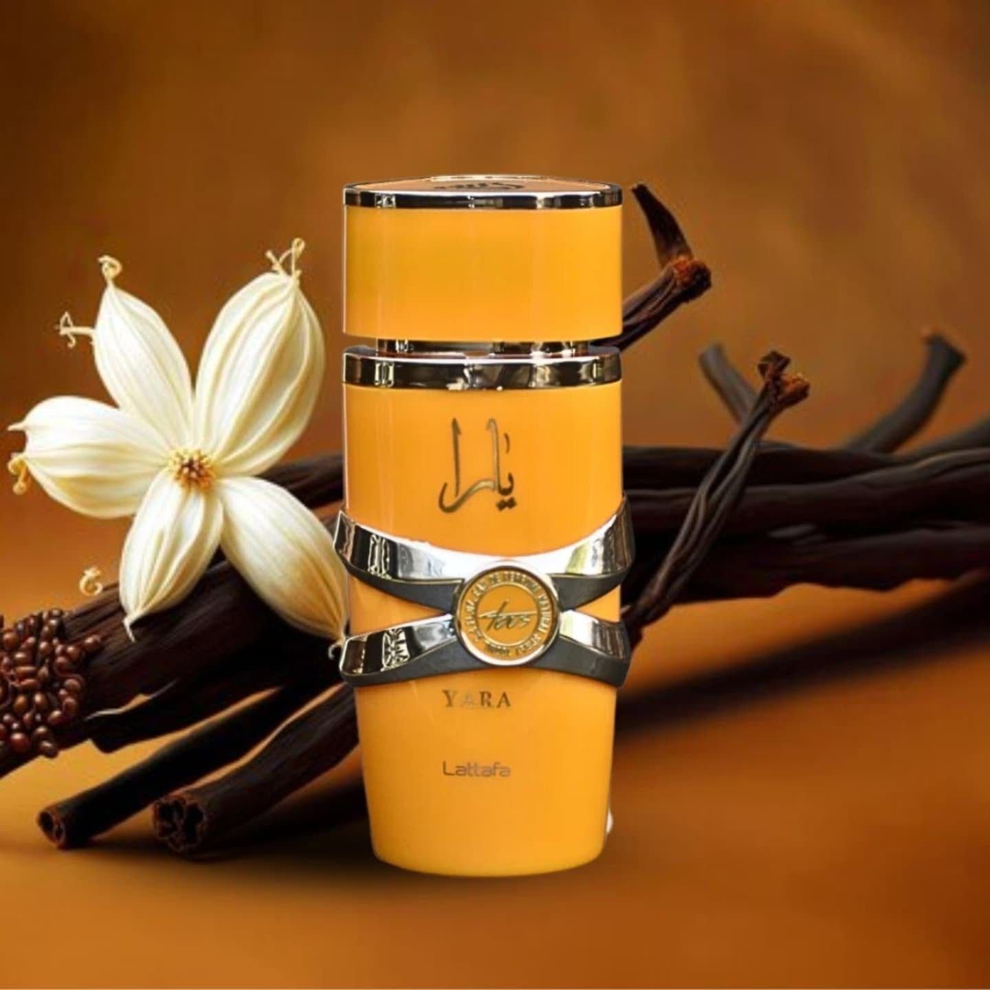 Parfum Yara Tous